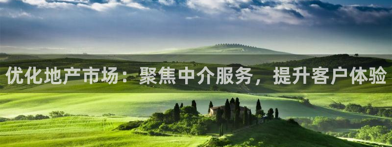 新宝G5：优化地产市场：聚焦中介服务，提升客户体验