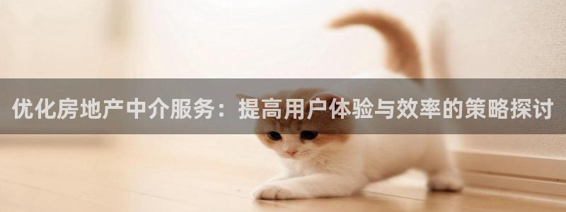 新宝5日740005蔻：优化房地产中介服务：提高用户体验与效