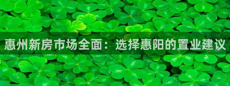 新宝5娱乐方：惠州新房市场全面：选择惠阳的置业建议