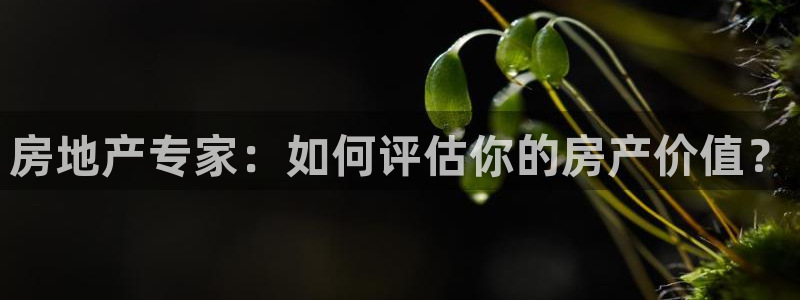 新宝rm5：房地产专家：如何评估你的房产价值？