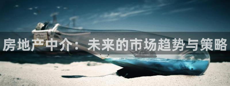新宝5飞355051：房地产中介：未来的市场趋势与策略