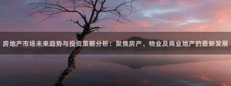 新宝5天：房地产市场未来趋势与投资策略分析：聚焦房产、物业及