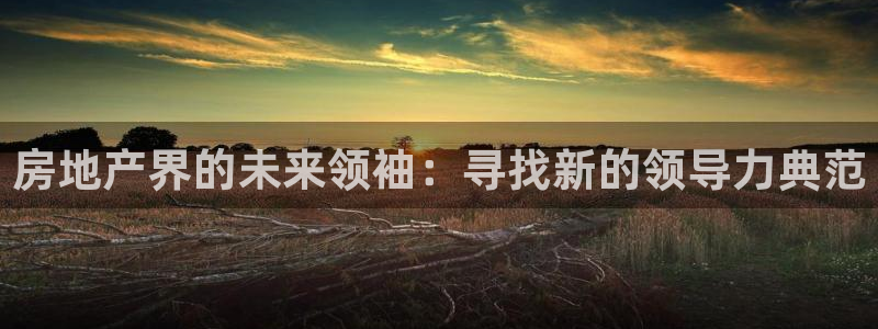 新宝5测登录：房地产界的未来领袖：寻找新的领导力典范