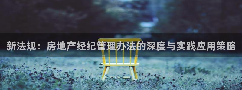 新宝5培训：新法规：房地产经纪管理办法的深度与实践应用策略