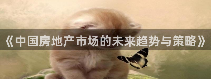新宝5周74OOO5：《中国房地产市场的未来趋势与策略》