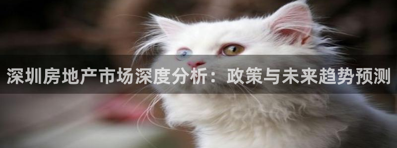 新宝5平棋牌：深圳房地产市场深度分析：政策与未来趋势预测