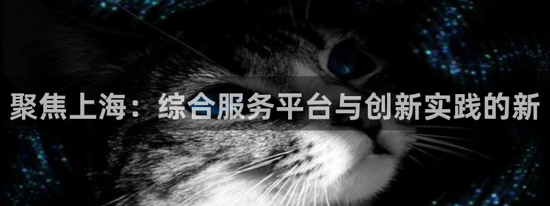 新宝5什么时候上市：聚焦上海：综合服务平台与创新实践的新