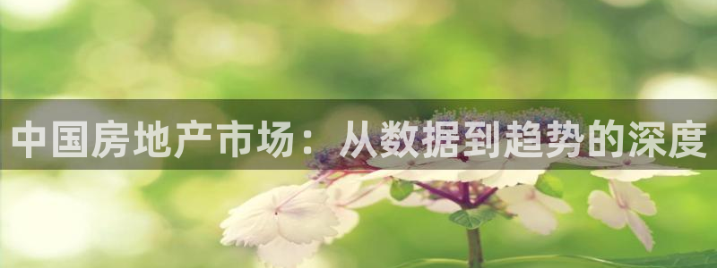 老新宝5授权登录：中国房地产市场：从数据到趋势的深度