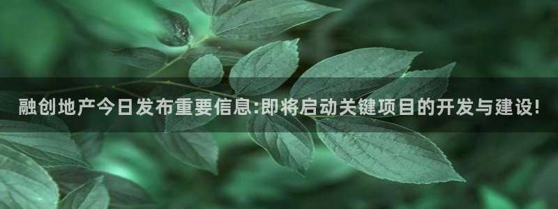 新宝测速5：融创地产今日发布重要信息:即将启动关键项目的开发