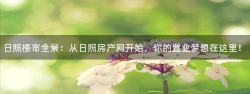 新宝5登录界面：日照楼市全景：从日照房产网开始，你的置业梦想
