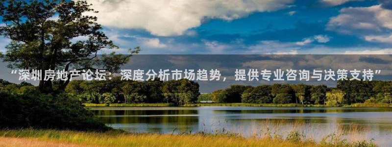 新宝5下载软件：“深圳房地产论坛：深度分析市场趋势，提供专业