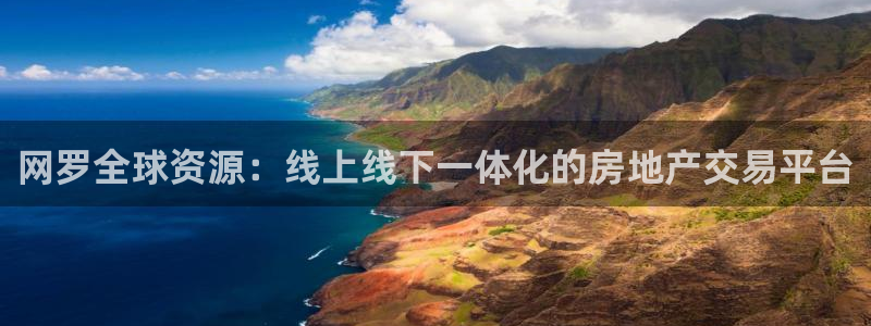 新宝5招商：网罗全球资源：线上线下一体化的房地产交易平台