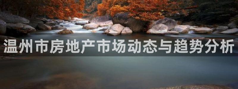 新宝5是什么样子的：温州市房地产市场动态与趋势分析