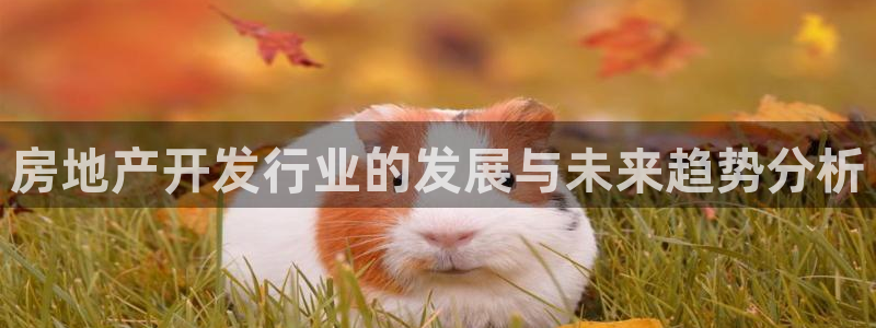 股票5G宝新：房地产开发行业的发展与未来趋势分析