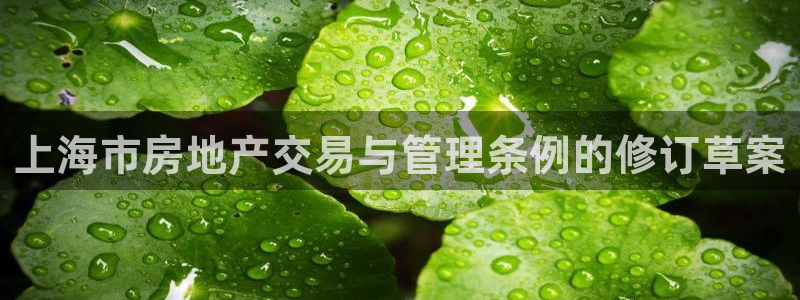 新宝注5册：上海市房地产交易与管理条例的修订草案
