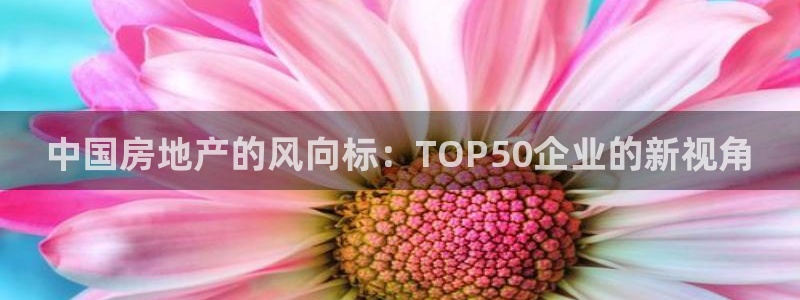 新宝5日740005蔻：中国房地产的风向标：TOP50企业的