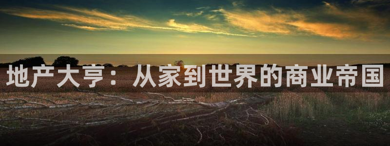 新宝5 注册：地产大亨：从家到世界的商业帝国