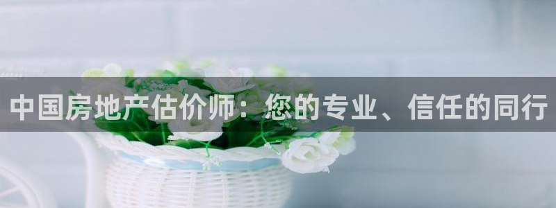 新宝5褚74OOO5：中国房地产估价师：您的专业、信任的同行