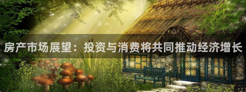 新宝h2O5O5O：房产市场展望：投资与消费将共同推动经济增