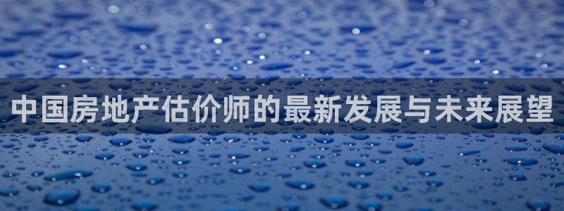 新宝5娱乐网址：中国房地产估价师的最新发展与未来展望