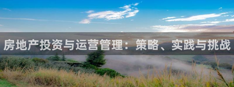 新宝G5：房地产投资与运营管理：策略、实践与挑战
