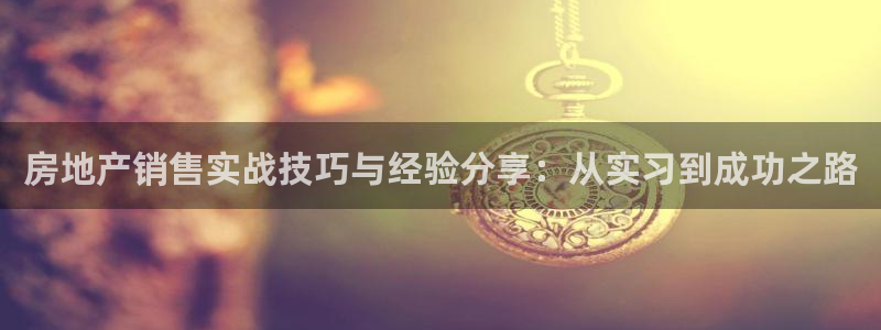 新宝5怎么代理：房地产销售实战技巧与经验分享：从实习到成功之