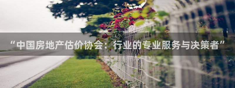 新宝5-：“中国房地产估价协会：行业的专业服务与决策者”