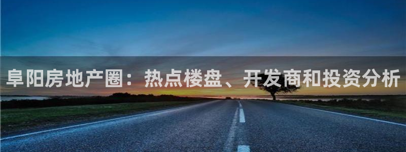 新宝5公司：阜阳房地产圈：热点楼盘、开发商和投资分析