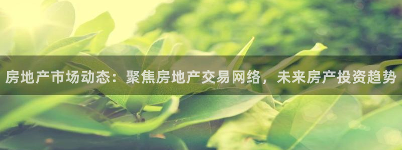 新宝5娱乐招商：房地产市场动态：聚焦房地产交易网络，未来房产