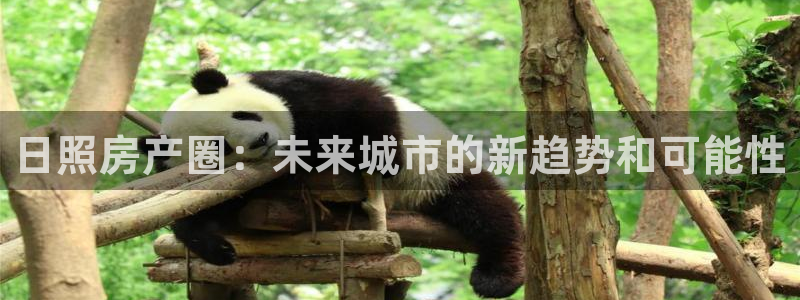 新宝5彩票娱乐平台：日照房产圈：未来城市的新趋势和可能性