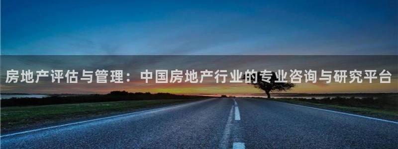 新宝5怎么代理：房地产评估与管理：中国房地产行业的专业咨询与