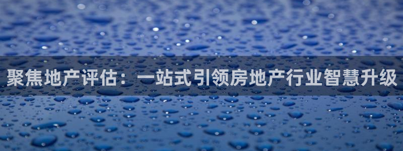 新宝5 唯一：聚焦地产评估：一站式引领房地产行业智慧升级