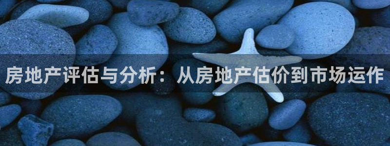 新宝5平台登录：房地产评估与分析：从房地产估价到市场运作