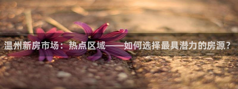 新宝5代理：温州新房市场：热点区域——如何选择最具潜力的房源