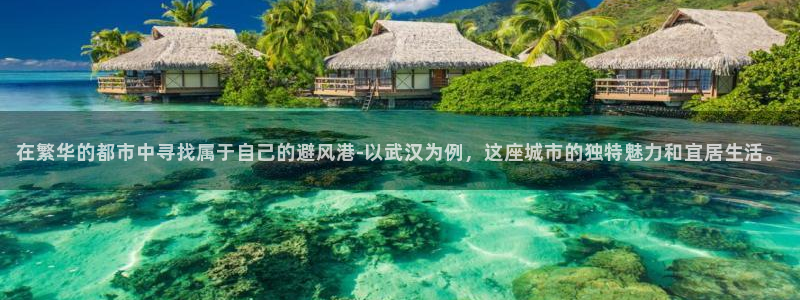 新宝5 - 测速登陆：在繁华的都市中寻找属于自己的避风港-以