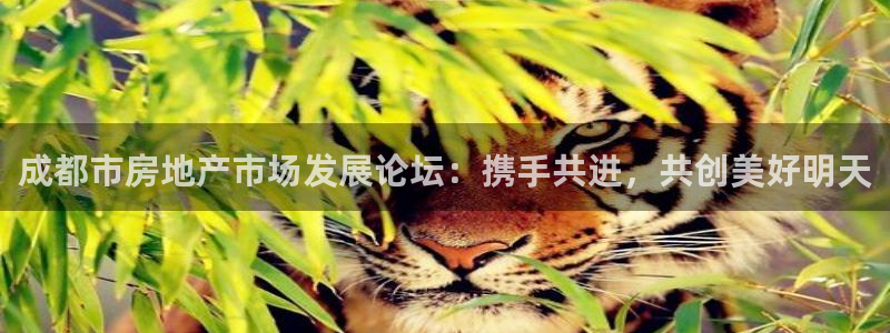 新宝5日740005蔻：成都市房地产市场发展论坛：携手共进，