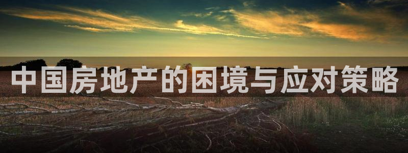 新宝5王问74OOO5：中国房地产的困境与应对策略