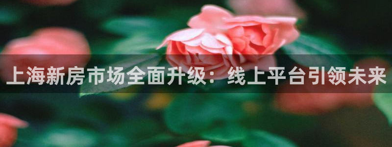 新宝5找找74OOO5：上海新房市场全面升级：线上平台引领未