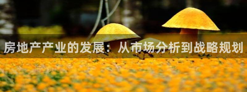 新宝5电脑：房地产产业的发展：从市场分析到战略规划