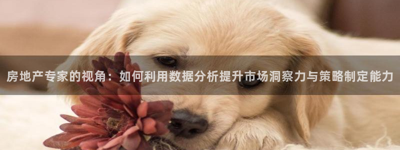 新宝5平台注册公司：房地产专家的视角：如何利用数据分析提升市