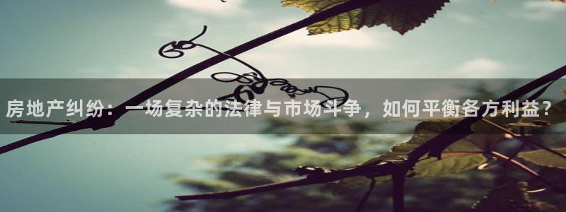 新宝5挂机：房地产纠纷：一场复杂的法律与市场斗争，如何平衡各
