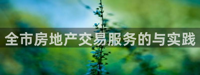 新宝5娱乐同：全市房地产交易服务的与实践