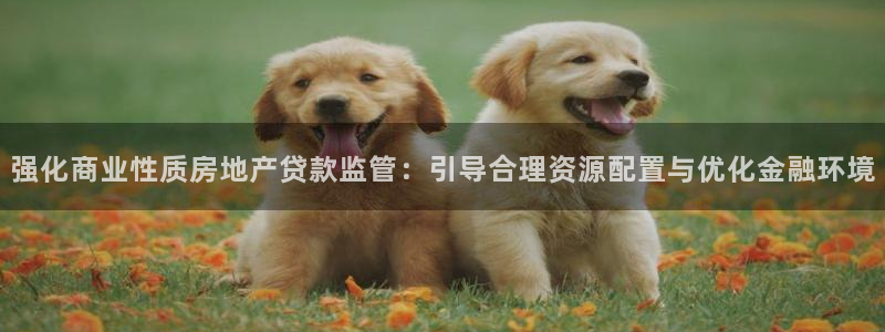 新宝5娱乐注：强化商业性质房地产贷款监管：引导合理资源配置与