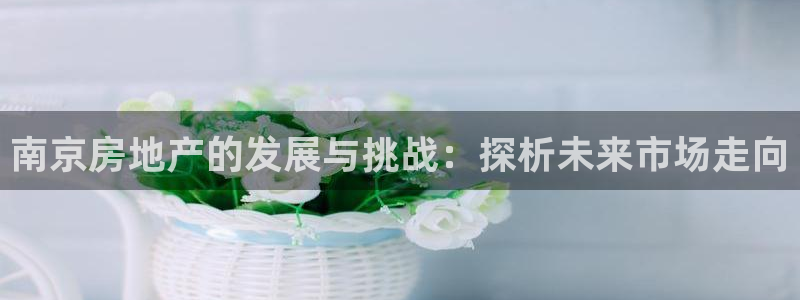 新宝5王问74OOO5：南京房地产的发展与挑战：探析未来市场