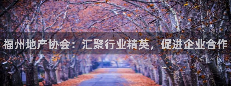 新宝5电脑登录网址：福州地产协会：汇聚行业精英，促进企业合作