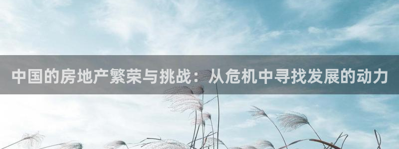 新宝5玩法：中国的房地产繁荣与挑战：从危机中寻找发展的动力
