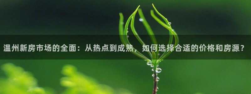 新宝5登录注册：温州新房市场的全面：从热点到成熟，如何选择合
