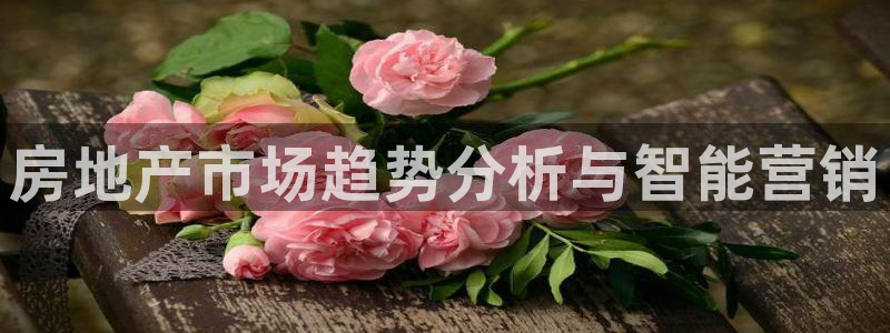 新宝5下载软件：房地产市场趋势分析与智能营销
