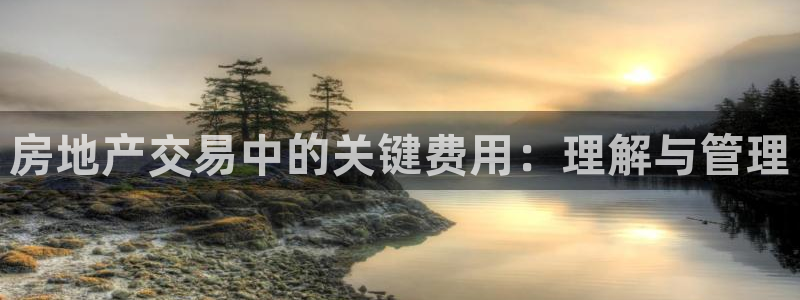 新宝5安卓版：房地产交易中的关键费用：理解与管理