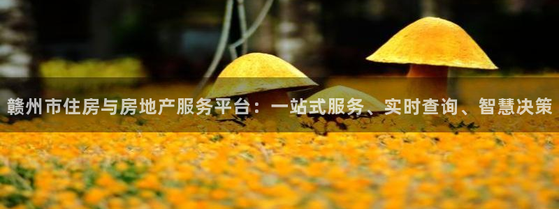 新宝5彩票平台登陆：赣州市住房与房地产服务平台：一站式服务、